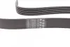 Ремінь генератора BMW 5 (F10)/ X5 (E70/F15/F85)/X6 (E71/E72/F16/F86) 08-16 CONTINENTAL Contitech 8PK1478 (фото 3)