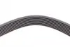 Ремінь генератора BMW 5 (F10)/ X5 (E70/F15/F85)/X6 (E71/E72/F16/F86) 08-16 CONTINENTAL Contitech 8PK1478 (фото 4)