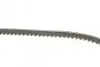 Ремень генератора Audi 80/90/100/200 1.8-2.3 76-91/BMW 3 (E30)/5 (E34) 1.6/1.8 87-95 CONTINENTAL Contitech AVX10X800 (фото 2)