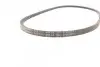 Ремень генератора Toyota Hilux/Land Cruiser 2.4D 88-02/Ford Sierra 2.8 87-88 CONTINENTAL Contitech AVX13X1200 (фото 2)