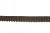 Комплект ГРМ + помпа Renault Clio/Kangoo/Megane/Scenic/Dacia Dokker/Duster/Logan 1.5dCi 01-(27x123z) CONTINENTAL Contitech CT1035WP3 (фото 2)