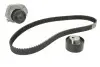 Комплект ГРМ + помпа Fiat Doblo/Palio/Panda/Punto/Stilo/Tipo/Opel Combo 1.4i 10- (22x124z) CONTINENTAL Contitech CT1049WP1 (фото 1)