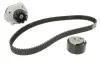 Комплект ГРМ + помпа Fiat Doblo/Palio/Panda/Punto/Stilo/Tipo/Opel Combo 1.4i 10- (22x124z) CONTINENTAL Contitech CT1049WP1 (фото 2)