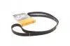 Ремінь ГРМ Subaru Forester/Impreza/Legacy 1.5/2.0/2.5i 92- (30x281z) CONTINENTAL CT1058