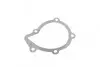 Комплект ГРМ + помпа Citroen Jumpy/Peugeot Expert 2.0HDi/Fiat Scudo 2.0 JTD 99-06 (25x144z) CONTINENTAL Contitech CT1063WP1 (фото 17)