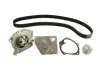 Комплект ГРМ + помпа Nissan Primera 1.9dCi 02-/Renault Scenic/Megane 1.9dCi 03-(26x133z) CONTINENTAL Contitech CT1064WP2 (фото 2)