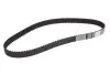 Ремінь ГРМ Citroen Jumpy/C4/C5 2.0 HDI 07-/Fiat Scudo 2.0D 07-/Ford Focus/Mondeo 04-(116x25.4) CONTINENTAL CT1091