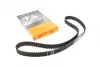 Ремінь ГРМ Citroen C2/C3/C4/Peugeot 1007/206/207/307 1.4 VVTi 03-11 (25x135z) CONTINENTAL CT1101
