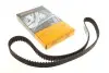 Ремень ГРМ Renault Megane III/Laguna II/Scenic III 1.9 dCi 05- CONTINENTAL CT1150