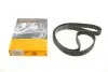 Ремінь ГРМ Audi A3/A4/A6/A7/Q2/Q3/Q5/Skoda Octavia/VW Golf VIII 2.0D/2.0DH 15- (25x149z) CONTINENTAL CT1229