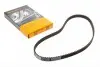 Ремінь ГРМ VW Golf III 1.6 92-97/Seat Cordoba/Ibiza 1.6i 93-02 (19x133z) CONTINENTAL Contitech CT732 (фото 1)