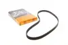 Ремінь ГРМ VW Golf/Polo/Passat 1.6/1.8 91-02/Audi A4 1.6 94-01 (121x18) CONTINENTAL CT848