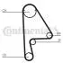Комплект ГРМ (ремінь + ролик + водяний насос) HONDA CIVIC V, CIVIC VI, HR-V 1.4/1.5/1.6 10.91- CT862WP1