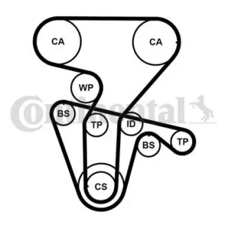 Комплект ГРМ (ремінь + ролик) ALFA ROMEO 145, 146, 147, 155, 156, 166, GTV, SPIDER, FIAT COUPE, LANCIA DEDRA, DELTA II 1.8/2.0 03.95-03.10 Contitech CT877K4PRO