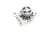 Комплект ГРМ + ТНВД + помпа VW T4 2.4D 90-03 (26.4x122z/20.1x77z) (2 ременя) CONTINENTAL Contitech CT939WP10PRO (фото 13)