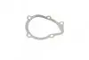 Комплект ГРМ + помпа Citroen Berlingo/Jumpy/Xsara/Peugeot 206/Expert/Partner 2.0HDI 98-11 (25x141z) CONTINENTAL Contitech CT987WP2 (фото 5)