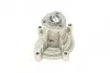 Помпа води Audi A3/Skoda Fabia/Octavia/Rapid/Roomster/VW Golf/Jetta/Passat/Polo 1.6/1.6FSI 03- CONTINENTAL Contitech WPS3003 (фото 6)