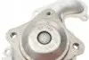 Помпа води Ford C-Max I/Focus I/II/Fiesta/Mondeo/Transit/Tourneo Connect 1.8DI/TDCi/TDDi 99- CONTINENTAL Contitech WPS3006 (фото 2)