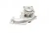 Помпа води Ford C-Max I/Focus I/II/Fiesta/Mondeo/Transit/Tourneo Connect 1.8DI/TDCi/TDDi 99- CONTINENTAL Contitech WPS3006 (фото 7)