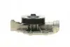 Помпа води MB E-class (W211/W212)/S-class (W221)/GL-class (X164) 4.7/5.5 05-13 (M273) CONTINENTAL Contitech WPS3084 (фото 7)