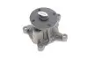 Помпа води Hyundai Accent/Elantra/i20/i30/i40/ix20/Tucson/Kia Ceed/Sportage 1.4/1.6 10- CONTINENTAL Contitech WPS3139 (фото 2)