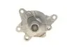 Помпа води Renault Trafic/Scenic/Megane/Opel Vivaro/Nissan Qashqai/X-Trail/MB Vito (W447) 1.6D 11- CONTINENTAL Contitech WPS3154 (фото 5)