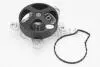 Помпа води Toyota Avensis/Auris/Corolla/Rav4/Lotus Elise 1.6/1.8/2.0 07- CONTINENTAL Contitech WPS3159 (фото 1)