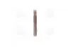 Сальник колінвалу (передній) Honda Accord/ Civic/ CR-V 1.8-2.4 i 03- (43x58x7) CORTECO 01020045B (фото 4)