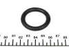 Прокладка колектора впускного Citroen Berlingo/Peugeot Expert 1.6 HDI 05- (d=30.5mm) CORTECO 026237H (фото 1)