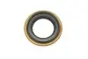 Сальник дифференциала Opel Monterey A 3.1TD/3.2 91-98 CORTECO 19025728B (фото 4)