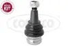 VW кульова опора нижн.лів./прав.Audi A4,5,6,7,Q5 08- CORTECO 49395958 (фото 1)