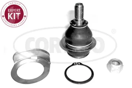 Шарова опора Лів/Прав (нижн передн) (діаметр конуса 18,2mm) FORD TOURNEO CONNECT, TOURNEO CUSTOM V362, TRANSIT, TRANSIT CONNECT, TRANSIT CUSTOM V362, TRANSIT TOURNEO, TRANSIT V363 1.0H-3.2D 01.00- CORTECO 49398526