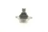 Опора шаровая (передняя/снизу)) Citroen Berlingo/Peugeot Partner 96- (d=18mm) CORTECO 49398691 (фото 3)