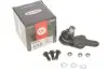 Опора кульова (передня/R) Ford Focus III 10- CORTECO 49398704