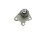 Опора шаровая (передняя/снизу)/L) Skoda Fabia/VW Polo 1.2/1.9TDI 99-15 CORTECO 49399281 (фото 4)