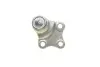 Опора шаровая (передняя/снизу)) Citroen Berlingo/Peugeot Partner 1.8i/1.9D 96-08 CORTECO 49400191 (фото 2)