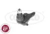 Sworzeс wahacza l/p TOYOTA RAV 4 - CORTECO 49400783 (фото 1)