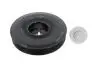 Шків колінвалу Renault Megane/Kangoo/Clio 1.5 dCi 08-/05- (з болтом) 49418960