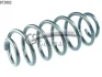 Пружина CS Germany 14872892 (фото 1)