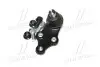 Опора шаровая нижняя Hyundai Tucson 09- Sonata 09-10 Kia Cerato 09- Sportage 10- (выр-во) CTR CB0206 (фото 2)