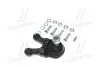 Опора шаровая нижняя R Mitsubishi Pajero 90- Pajero Sport 95-00 (выр-во) CTR CB0248R (фото 3)