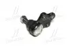 Опора шаровая нижняя Nissan Pathfinder R50 97-04 (выр-во) CTR CB0325 (фото 3)