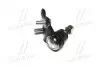 Опора шаровая нижняя L Toyota Camry 30 35 Highlander 01- Lexus RX330 (выр-во) CTR CB0402L (фото 4)