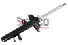 Амортизатор Ford Kuga II 12-14 DACO Germany 451008R (фото 1)