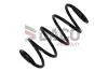 Sprкїyna zaw. * KANGOO/GRAND KANGOO 1.5 dci 08- Przуd DACO Germany 803031 (фото 1)