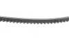 Ремінь генератора BMW 3/VW Passat 1.6TD/1.9D 88-93 DAYCO 10A0960C (фото 4)