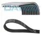 Доріжковий пас DAYCO 10PK2050HD (фото 1)