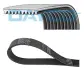 Автозапчасть DAYCO 10PK2480HD (фото 1)