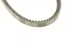 Ремінь генератора Audi 80/BMW 3/5/VW Passat 1.3-1.8 -06 DAYCO 13A0825C (фото 3)