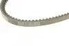Ремінь генератора Audi 80/BMW 3/5/VW Passat 1.3-1.8 -06 DAYCO 13A0825C (фото 4)